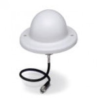 Omni-directional antenna with vandalism protection, 